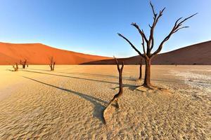 Dead Vlei, Namíbia foto