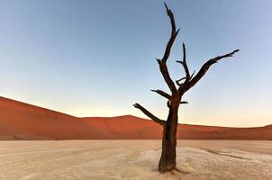 Dead Vlei, Namíbia foto