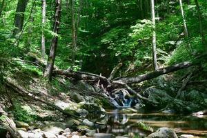 cachoeiras ao longo de uma trilha de caminhada no vale de shenandoah e montanhas azuis do parque nacional de shenandoah, virgínia foto