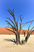 Dead Vlei, Namíbia foto