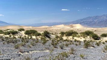 dunas planas de algaroba, vale da morte foto