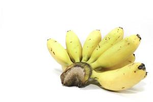 musa acuminata 'lady dedo', uma banana cultivada naturalmente de forma orgânica, doce e deliciosa, saudável em um fundo branco. foto