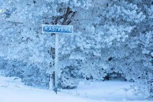 paisagens de inverno na estônia foto