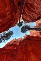 o anfiteatro no parque nacional de bryce canyon em utah, estados unidos. foto