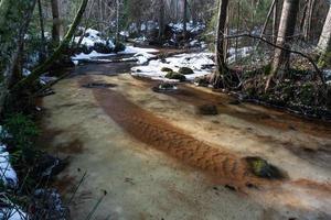 um pequeno rio de floresta rochosa no inverno foto