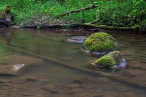 um pequeno rio de floresta rochosa no verão foto