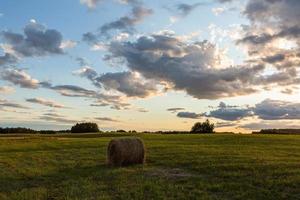 paisagens rurais de verão nos estados bálticos foto
