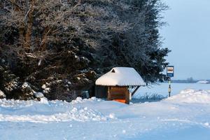 paisagens de inverno na estônia foto