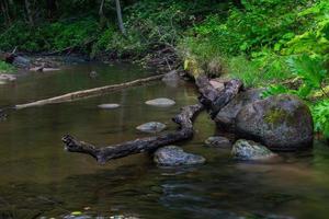 um pequeno rio de floresta rochosa no verão foto