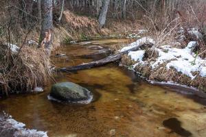 um pequeno rio de floresta rochosa no inverno foto