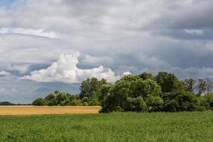 paisagens rurais de verão nos estados bálticos foto