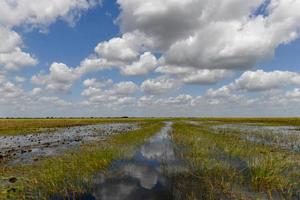 pântano da flórida no parque nacional de everglades, nos eua. lugar popular para turistas, natureza selvagem e animais. foto