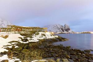 inverno em reine, ilhas lofoten, noruega. estoques para secar o peixe à noite. foto