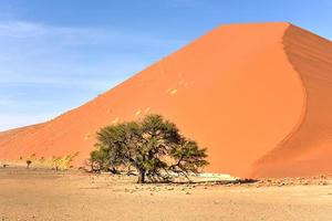 Deserto da Namíbia, Namíbia foto