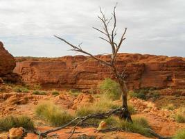 vista panorâmica de kings canyon, austrália central, território do norte, austrália foto