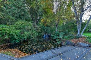 pequena cachoeira e piscina em stanley park, vancouver, canadá. foto