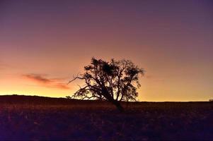 paisagem do deserto - namibrand, namíbia foto