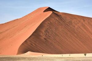 Deserto da Namíbia, Namíbia foto