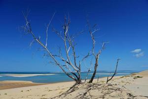 ilha bazaturo em moçambique foto