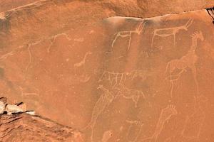 gravuras rupestres do bosquímano - namíbia foto