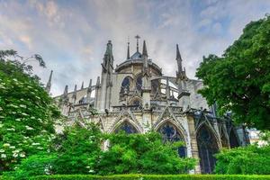 notre-dame de paris, é uma catedral católica medieval gótica francesa na ile de la cite no quarto arrondissement de paris, frança. foto