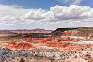 whipple point no parque nacional da floresta petrificada no arizona. foto