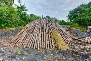 pira de madeira sendo preparada para a criação de carvão a partir de toras de pinheiro em viñales, cuba. foto