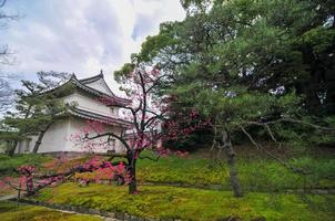 castelo nijo em kyoto, japão. é um dos dezessete monumentos históricos da antiga kyoto. foto