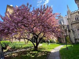 cidade de nova york - 19 de abril de 2020 - a igreja da graça é uma igreja paroquial histórica em manhattan, cidade de nova york, que faz parte da diocese episcopal de nova york. foto