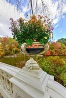 ponte de proa no outono no central park, cidade de nova york. foto