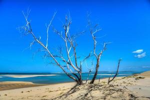 ilha de bazaruto, moçambique foto