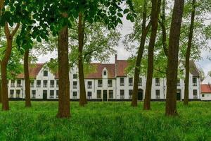 casas brancas medievais no begijnhof principesco begijnhof ten wijngaerde em bruges, bélgica. foto