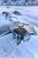 rochas quebrando o gelo em eggum, ilhas lofoten, ártico, noruega, escandinávia, europa em um dia nublado de inverno. foto