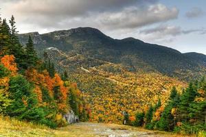 folhagem de outono de vermont na floresta no monte mansfield em vermont, eua foto