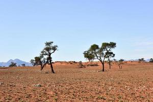 paisagem do deserto - namibrand, namíbia foto