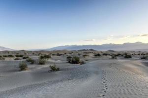 dunas planas de algaroba, vale da morte foto