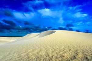 dunas de areia branca da reserva natural de nilgen foto