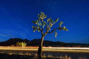 bela paisagem no parque nacional joshua tree na califórnia à noite. foto