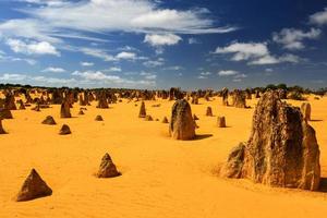 Deserto dos Pináculos, Austrália foto