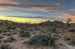 bela paisagem no parque nacional joshua tree, na califórnia. foto