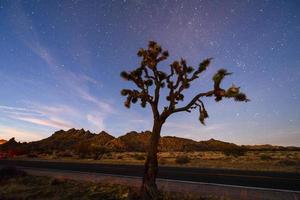 bela paisagem no parque nacional joshua tree na califórnia à noite. foto