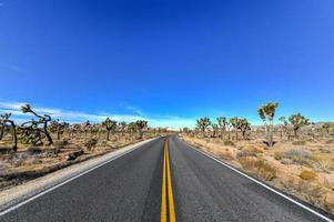 bela paisagem no parque nacional joshua tree, na califórnia. foto