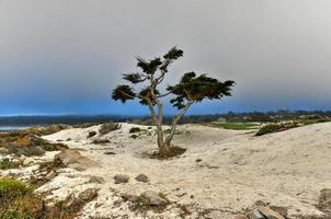 paisagem de spanish bay ao longo de 17 milhas de carro na costa de pebble beach, califórnia foto