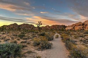 bela paisagem no parque nacional joshua tree, na califórnia. foto