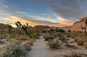 bela paisagem no parque nacional joshua tree, na califórnia. foto