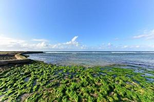 praia em alamar, um distrito na parte leste de havana em cuba. foto