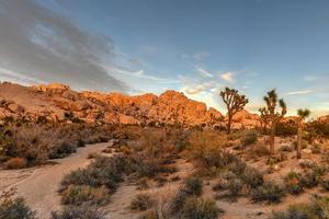 bela paisagem no parque nacional joshua tree, na califórnia. foto