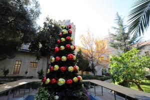 árvore do ano novo na praça da cidade em israel. foto