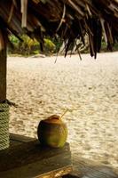 coquetel com bebida de coco no bar da praia foto