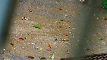 gotas de chuva caindo no chão em karachi paquistão 2022 foto